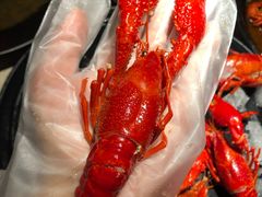 -沪小胖小龙虾(淮海中路旗舰店)