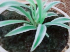 -院子餐厅·大锅菜·老杭帮(桥西直街店)