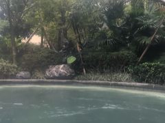 -海兰云天度假区温泉
