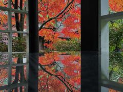 -中国茶叶博物馆(双峰馆区)