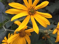 -永定河休闲森林公园