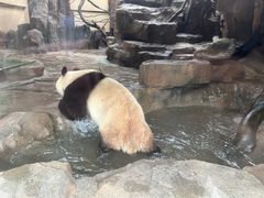 -宁波野生动物园