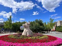 -永定河休闲森林公园