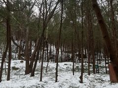 -北京凤凰岭