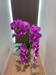 -如一·美甲美睫