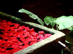 -鱼桥巷·美学川菜