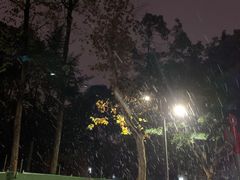 -四川大学(望江校区)