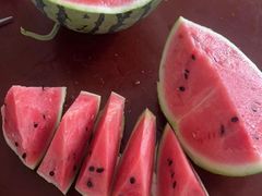 -南汇水蜜桃采摘(大团店)