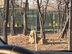 -秦皇岛野生动物园