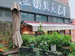 -三猫黑鱼花(南大店)