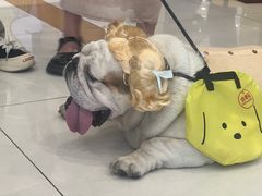 -凯德广场(西城店)