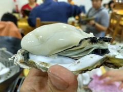 -蚝专家(北滘店)