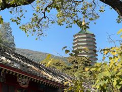-八大处公园