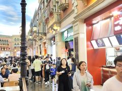 -澳门威尼斯人综合度假区
