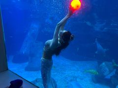 -太平洋海底世界