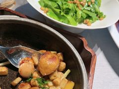 -秀儿四九城·新京菜(亚运村鸟巢店)