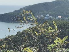 -棒棰岛宾馆景区