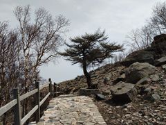 -灵山