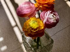 -溪岸路花鸟市场