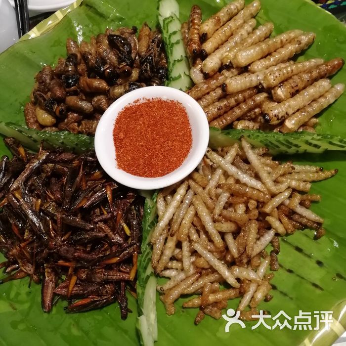 呐咪傣园炸昆虫拼盘图片-北京云贵菜-大众点评网