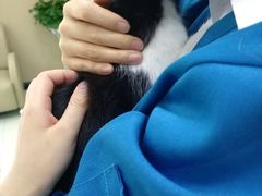 -安安宠医·臻爱宠物医院·宠保定点(营门口路分院)