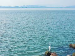 -深圳湾公园(南山区)