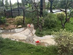 -武汉动物园