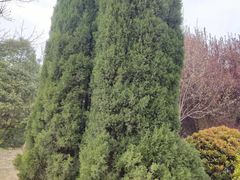 -洛阳市隋唐城遗址植物园
