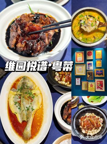 上海Citywalk发现宝藏粤菜