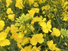 -中国天府农业博览园