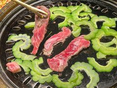 -杨小佳·齐齐哈尔烤肉·烤串(广州店)