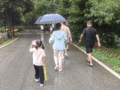 -木兰云雾山