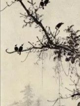 -杨梅红艺术教育(凤城教学中心)