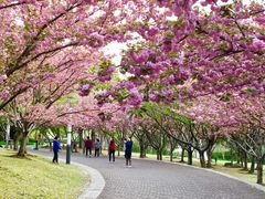 -苏州河梦清园环保主题公园