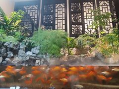 -舟小鲜·舟山小渔村(凤城四路中登广场店)