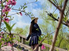 -南汇桃花村