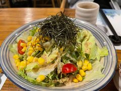 蔬菜沙拉-衣川小森林·料理·寿司(鸿铭中心店)