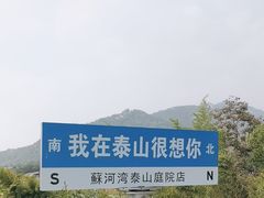 -蘇河湾·新鲁菜·泰山宴(泰山店)