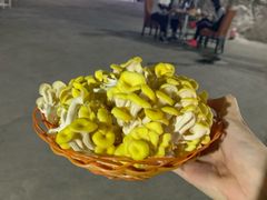 -仙蘑洞