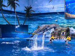 -多彩贵州城极地海洋世界