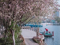 -莫愁湖公园
