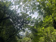 -西岭雪山大飞水景区