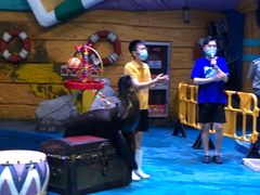 -烟台海昌鲸鲨海洋公园