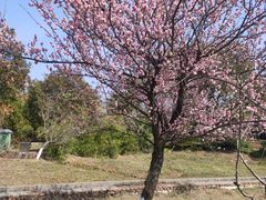 -白马涧龙池景区