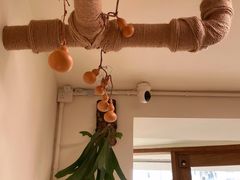 -本無咖啡·BeanWood Coffee