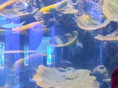 -石家庄海洋公园