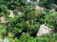 -罗红摄影艺术馆