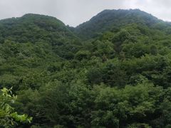 -秦岭风景区