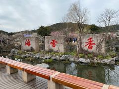 -香雪海