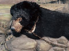 -北京动物园-畅观楼